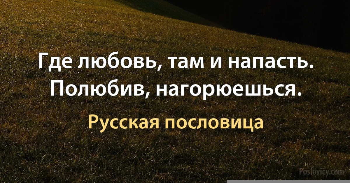 Где любовь, там и напасть. Полюбив, нагорюешься. (Русская пословица)