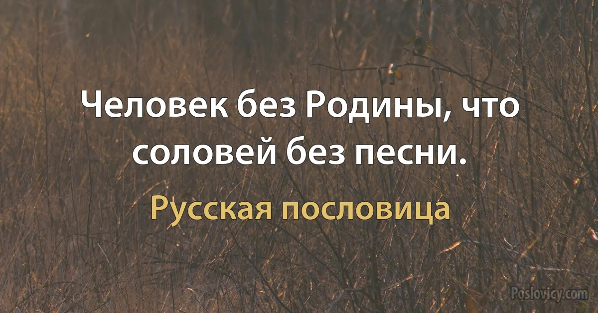 Человек без Родины, что соловей без песни. (Русская пословица)