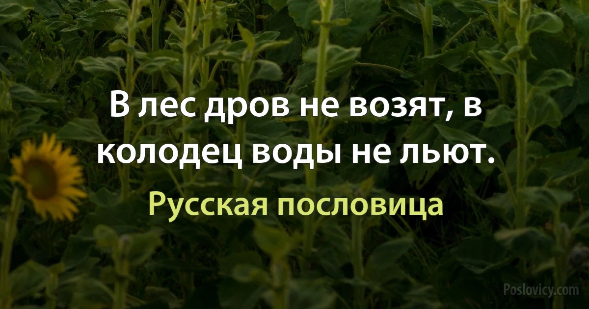 В лес дров не возят, в колодец воды не льют. (Русская пословица)