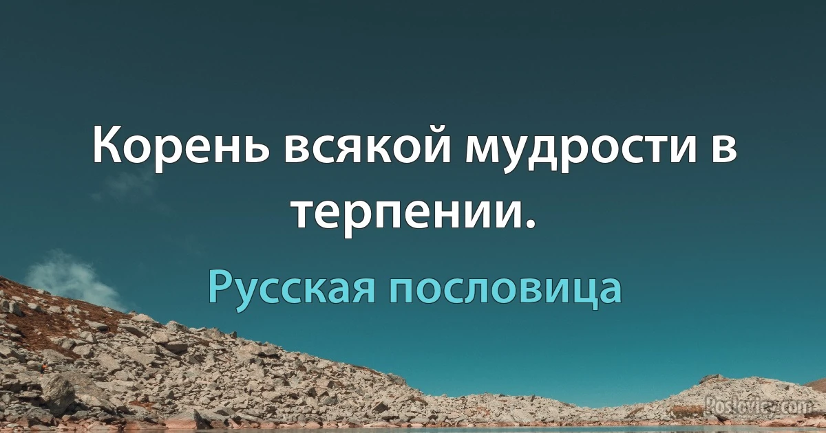 Корень всякой мудрости в терпении. (Русская пословица)