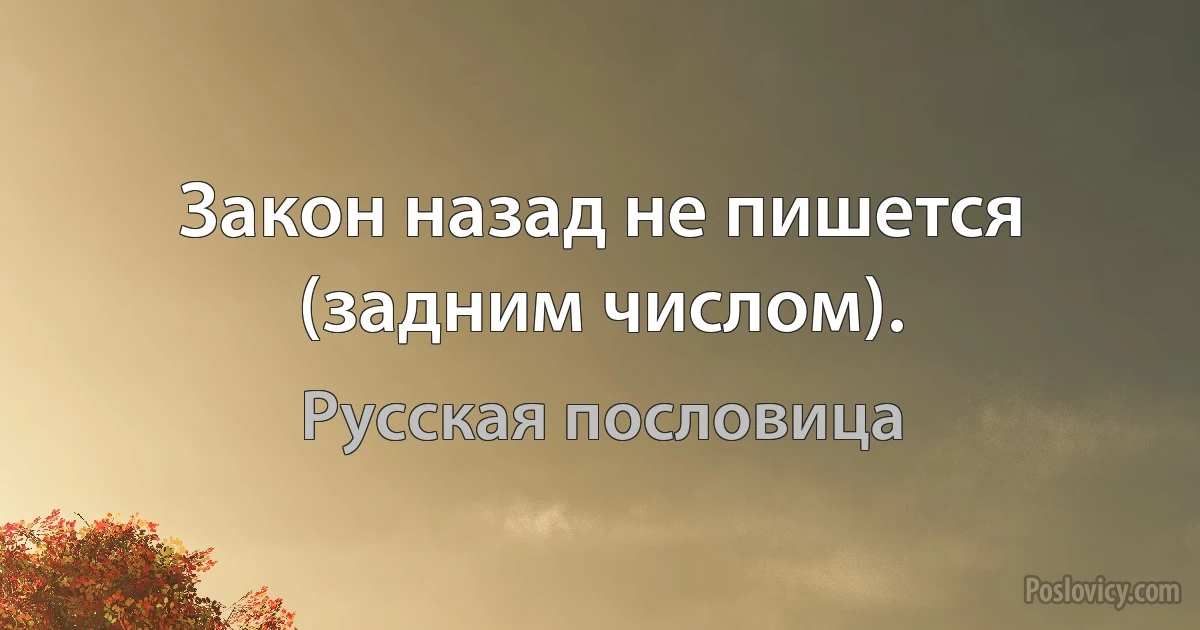 Закон назад не пишется (задним числом). (Русская пословица)