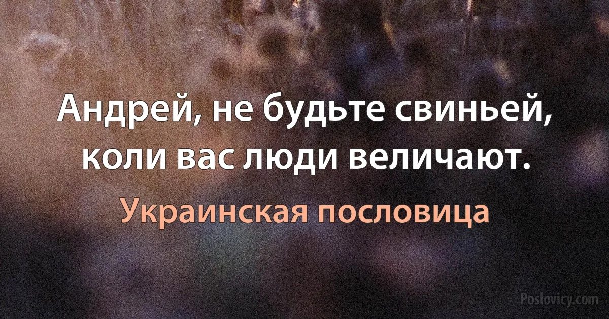 Андрей, не будьте свиньей, коли вас люди величают. (Украинская пословица)