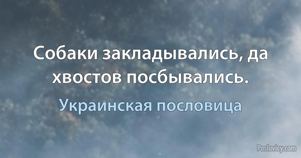 Собаки закладывались, да хвостов посбывались. (Украинская пословица)