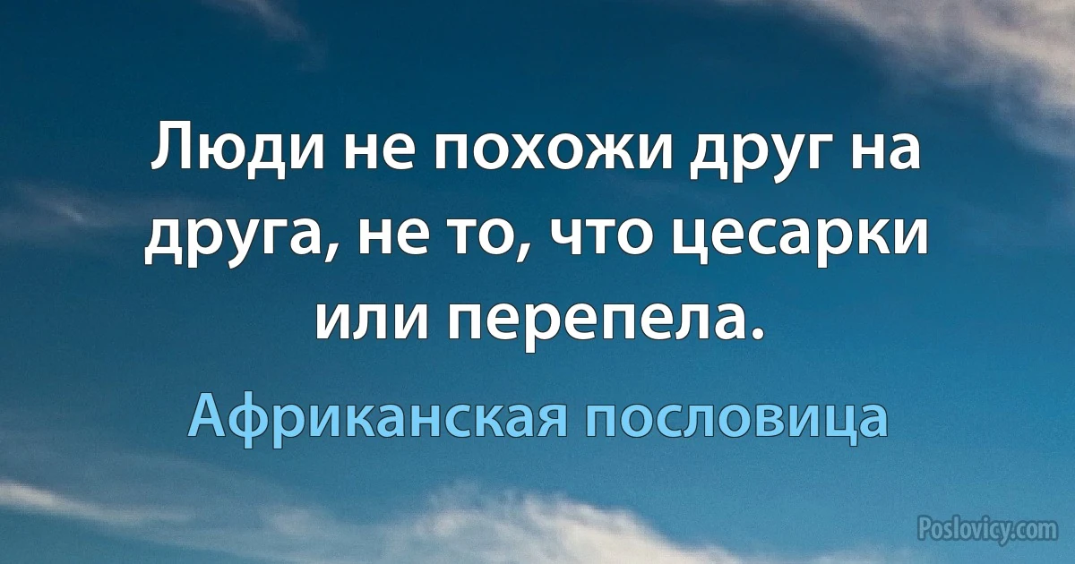 Люди не похожи друг на друга, не то, что цесарки или перепела. (Африканская пословица)