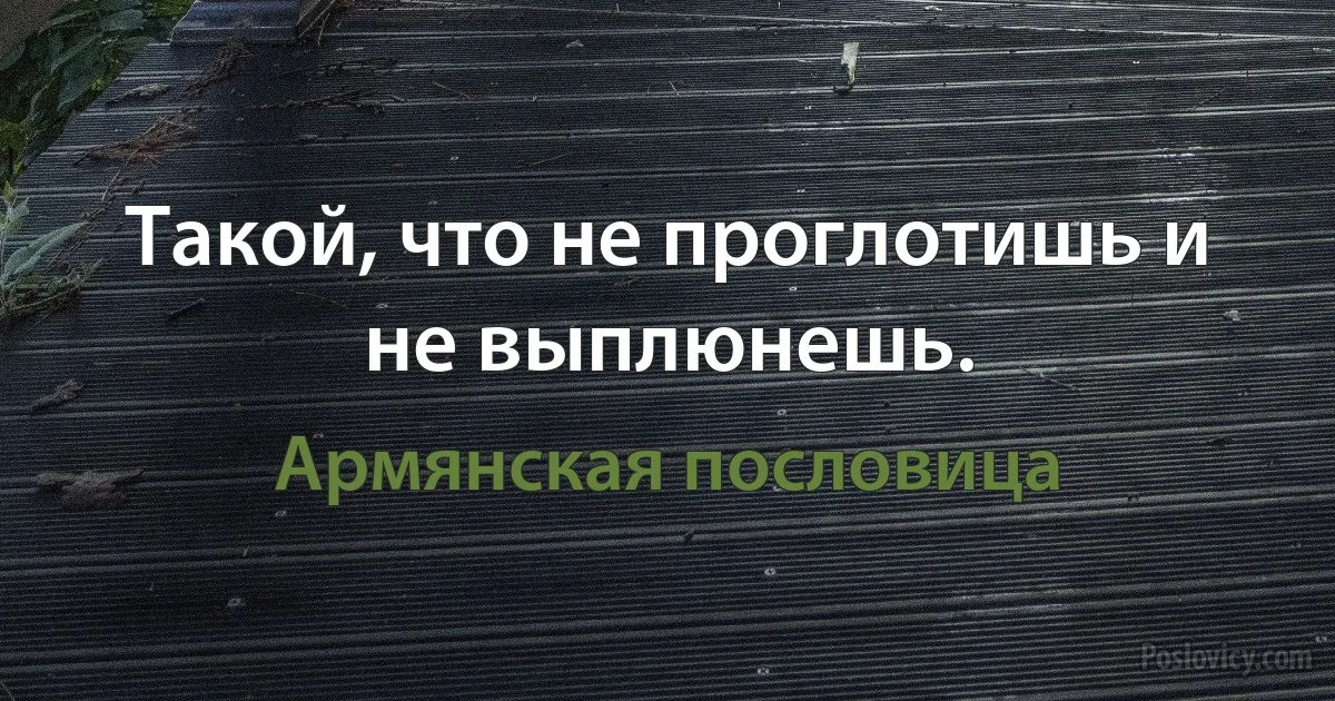 Такой, что не проглотишь и не выплюнешь. (Армянская пословица)