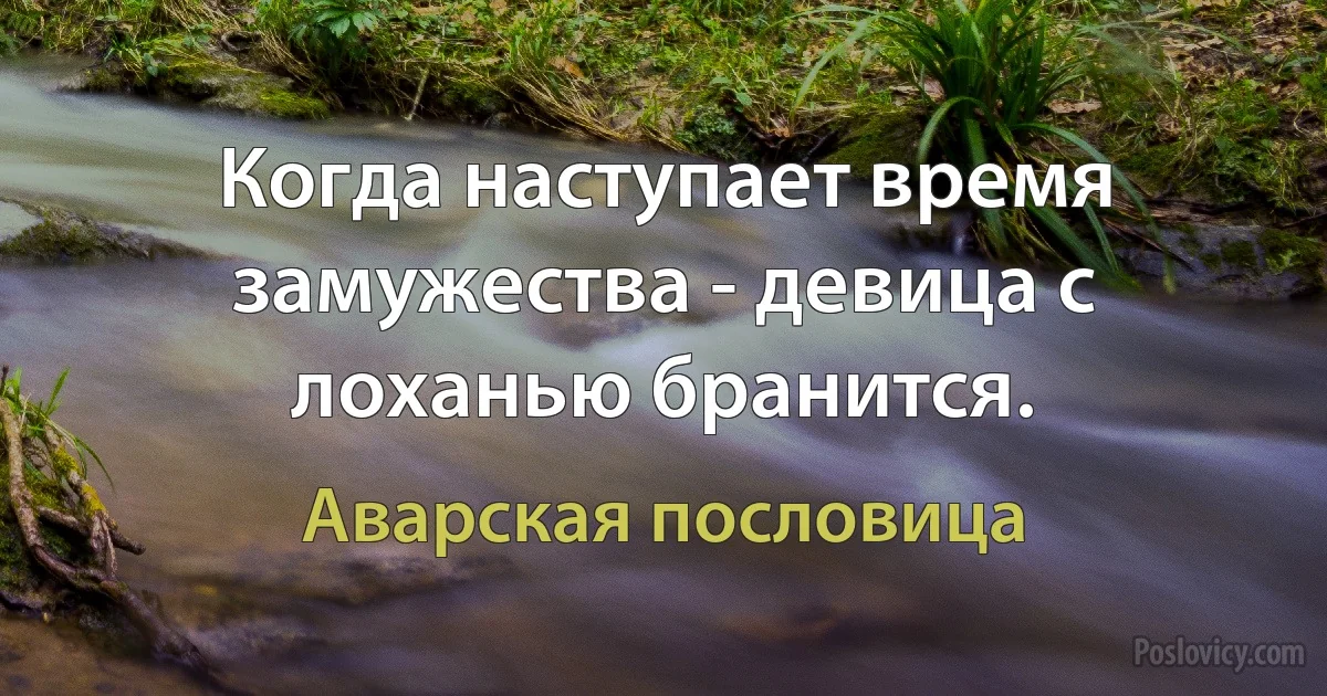 Когда наступает время замужества - девица с лоханью бранится. (Аварская пословица)