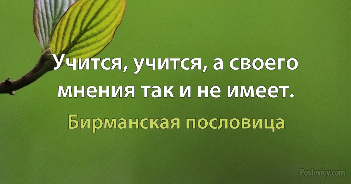 Учится, учится, а своего мнения так и не имеет. (Бирманская пословица)