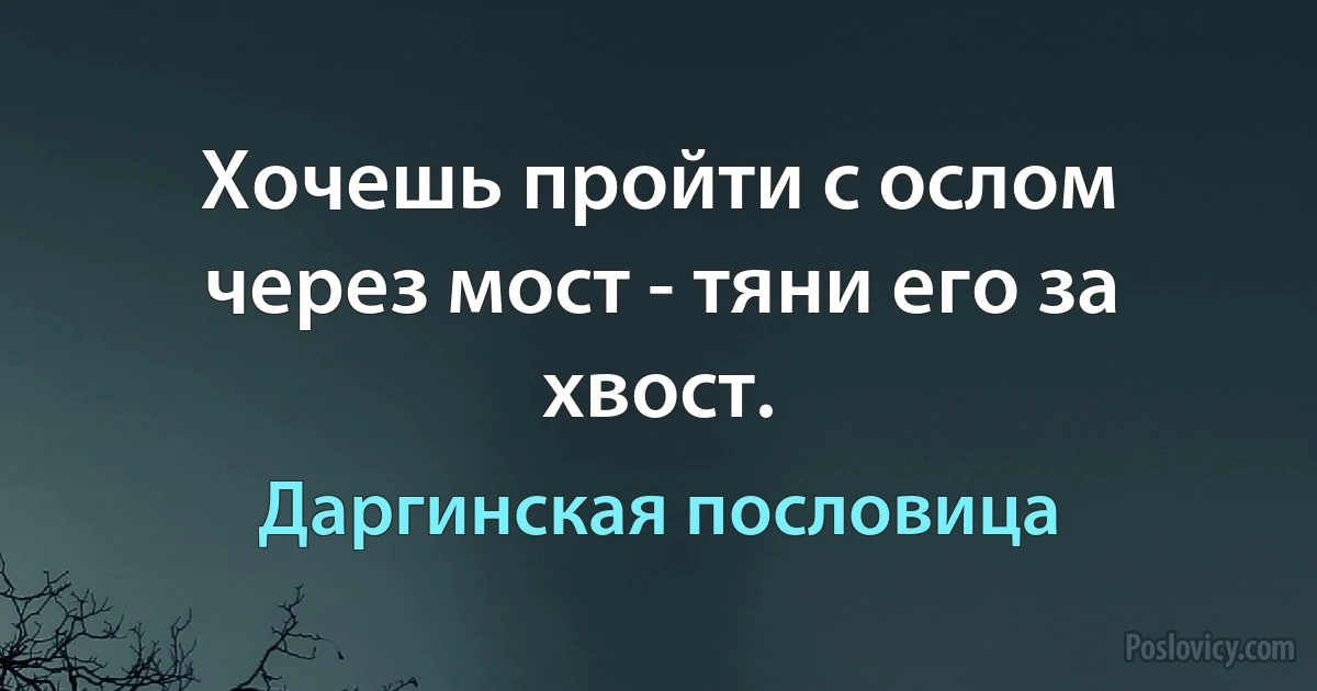 Хочешь пройти с ослом через мост - тяни его за хвост. (Даргинская пословица)