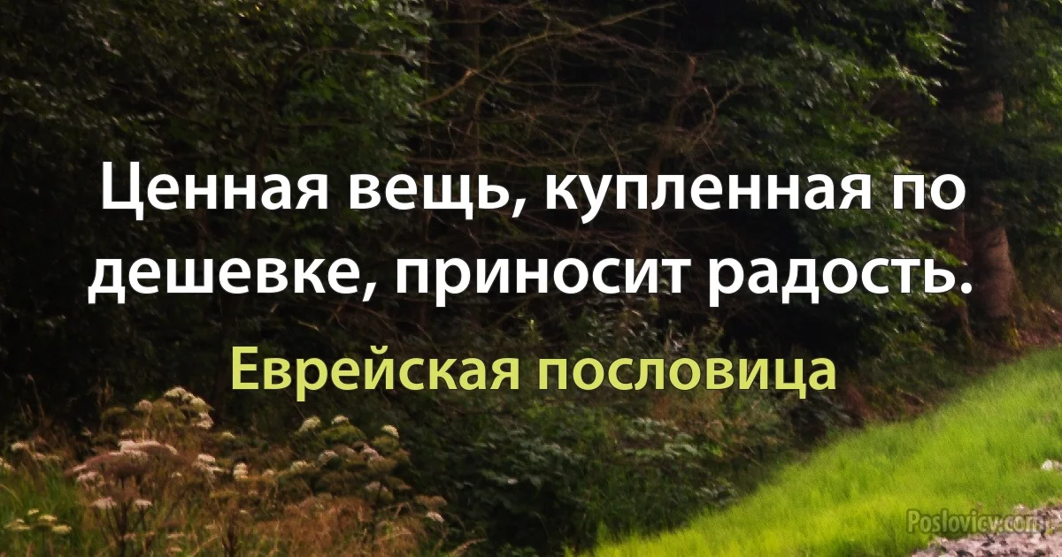 Ценная вещь, купленная по дешевке, приносит радость. (Еврейская пословица)