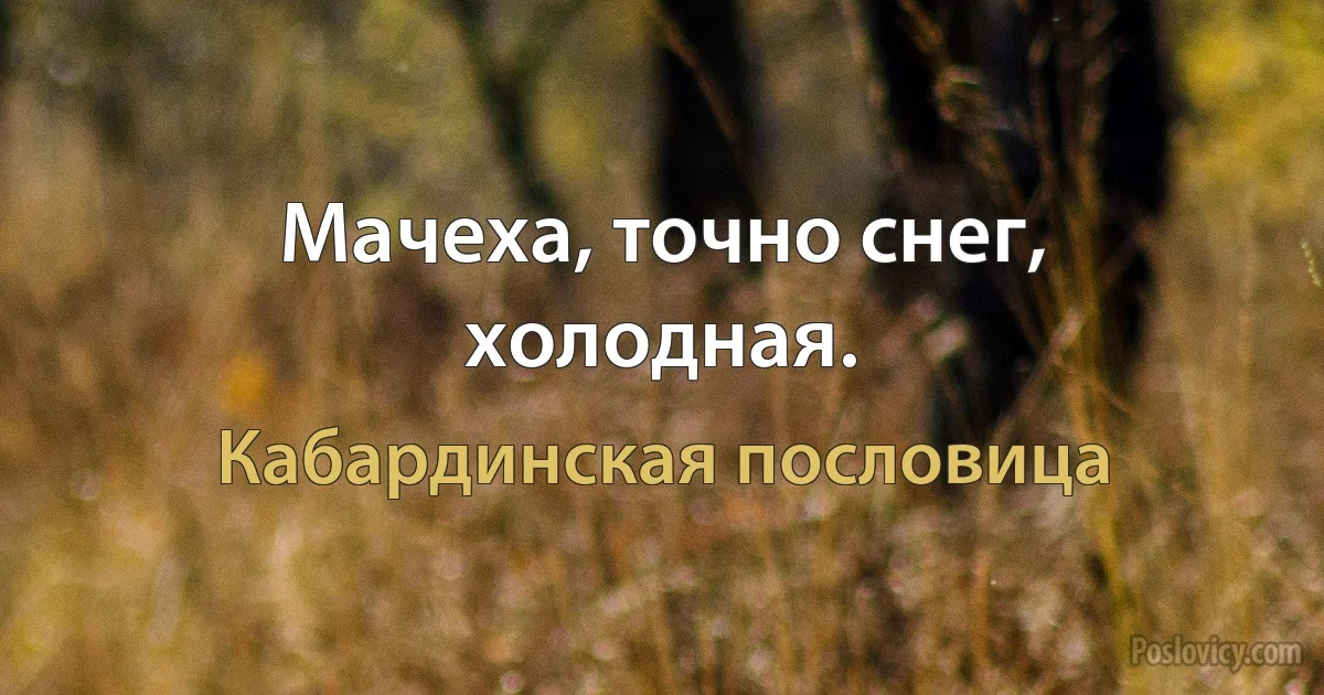 Мачеха, точно снег, холодная. (Кабардинская пословица)