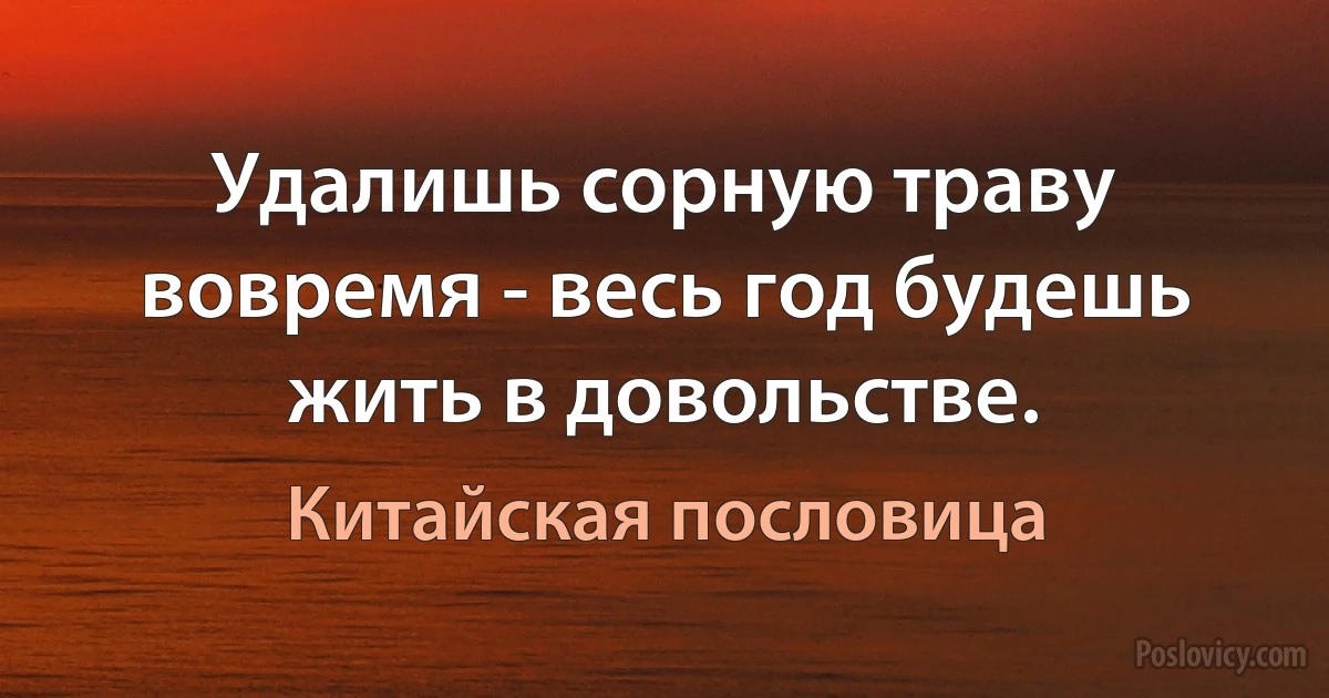 Удалишь сорную траву вовремя - весь год будешь жить в довольстве. (Китайская пословица)