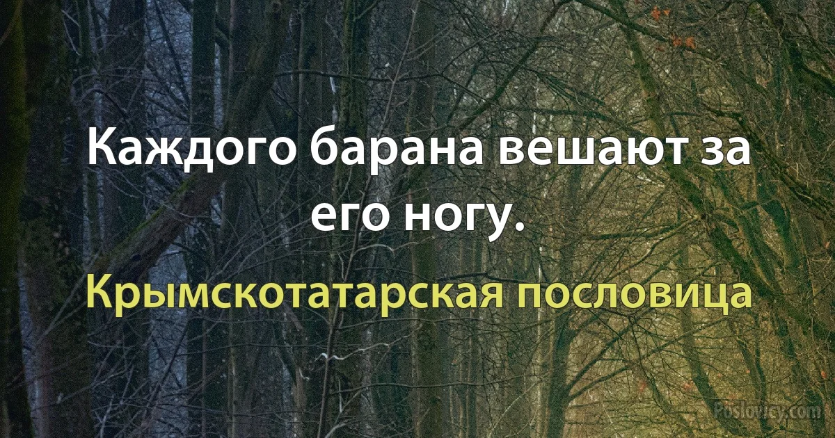 Каждого барана вешают за его ногу. (Крымскотатарская пословица)