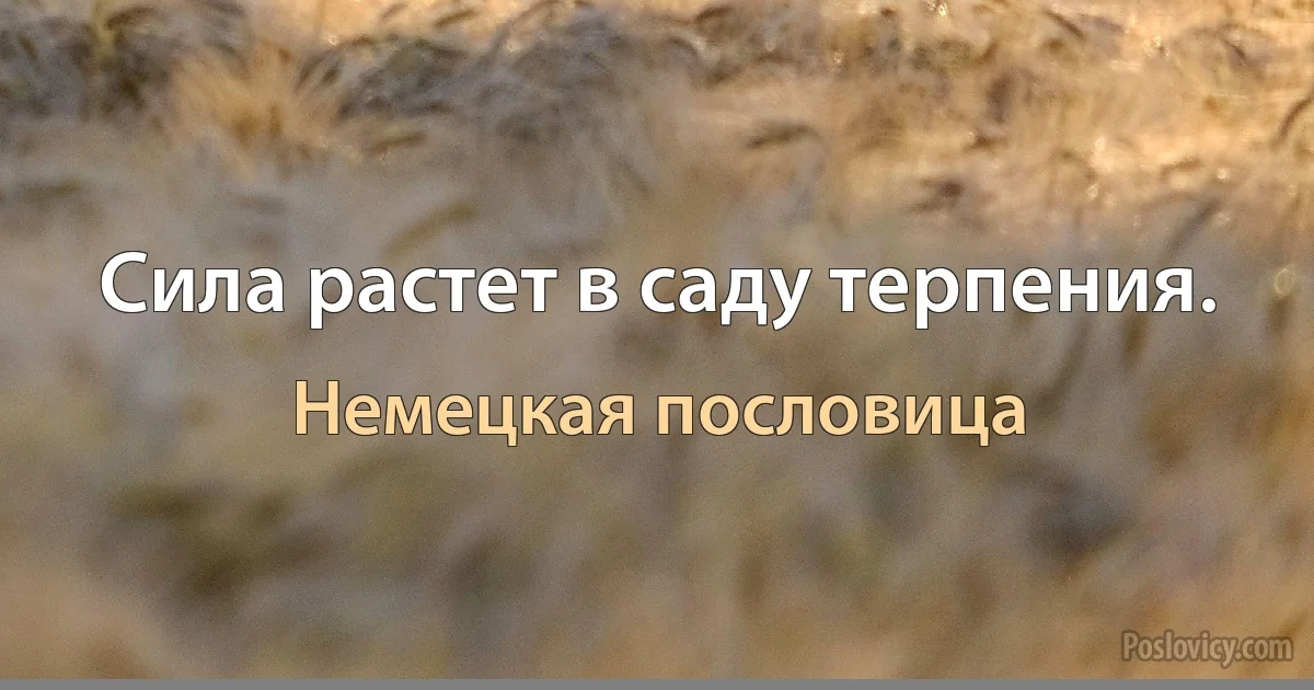 Сила растет в саду терпения. (Немецкая пословица)