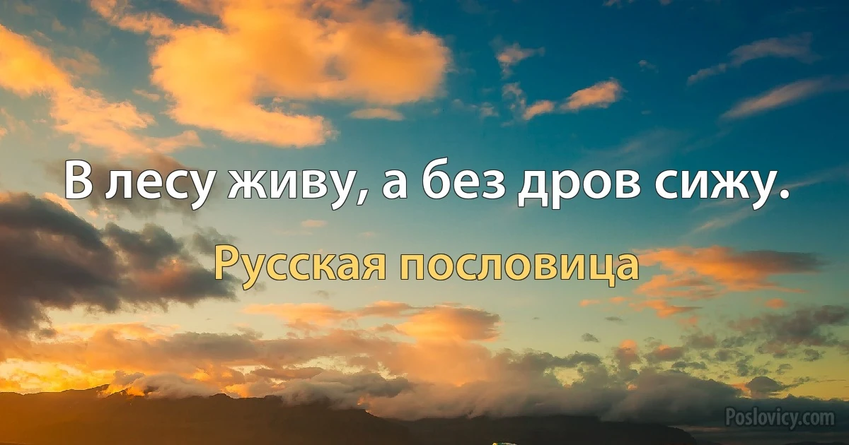 В лесу живу, а без дров сижу. (Русская пословица)