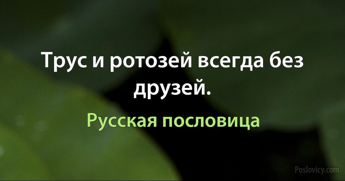 Трус и ротозей всегда без друзей. (Русская пословица)