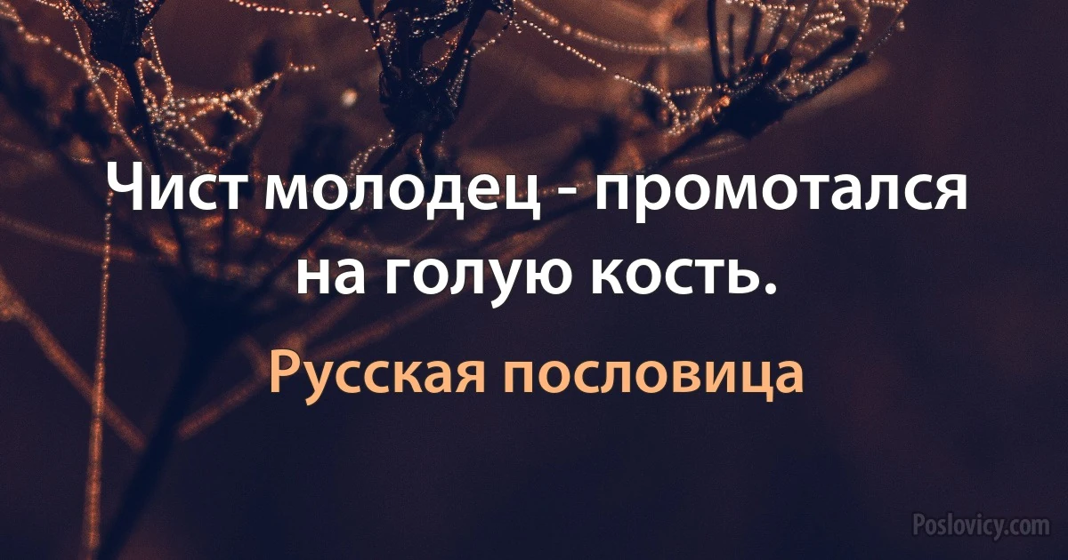 Чист молодец - промотался на голую кость. (Русская пословица)