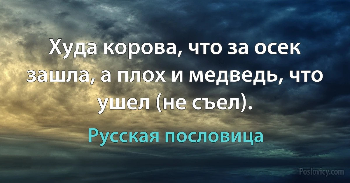 Худа корова, что за осек зашла, а плох и медведь, что ушел (не съел). (Русская пословица)