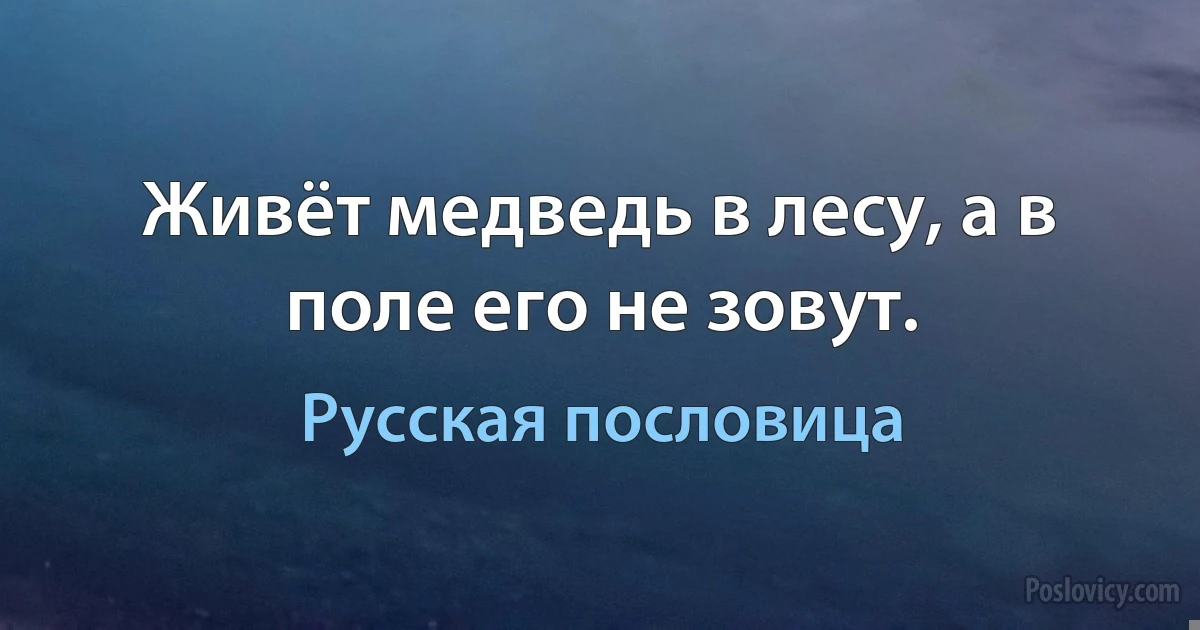 Живёт медведь в лесу, а в поле его не зовут. (Русская пословица)