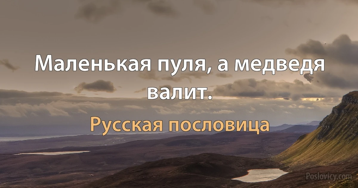 Маленькая пуля, а медведя валит. (Русская пословица)