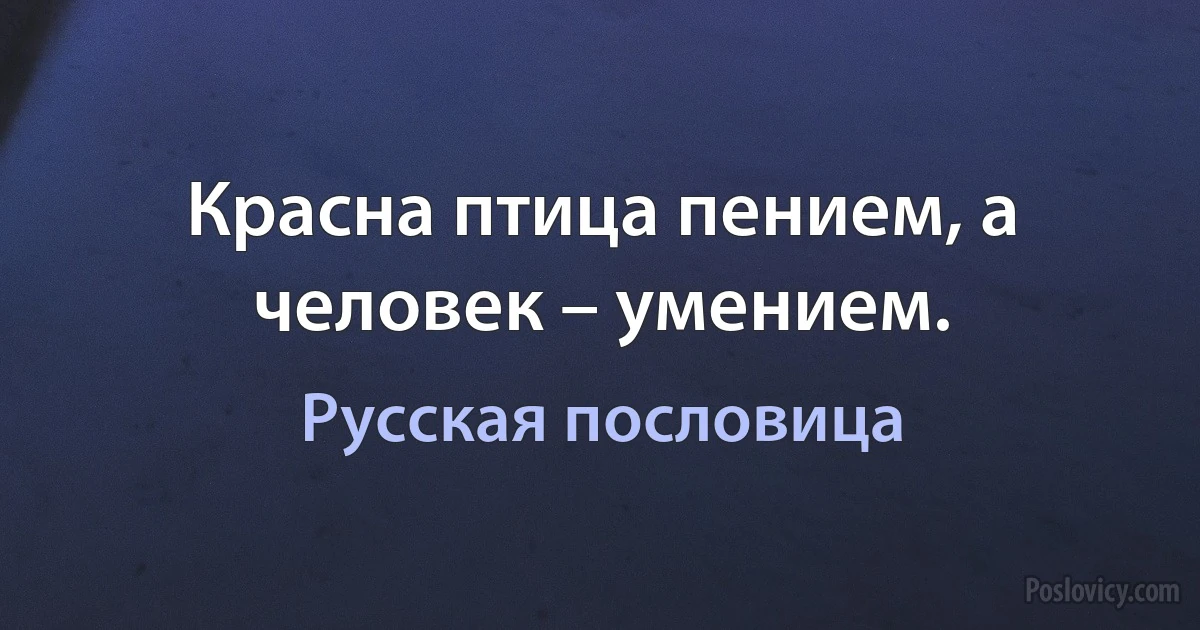 Красна птица пением, а человек – умением. (Русская пословица)