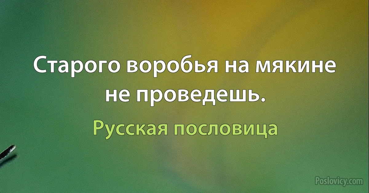 Старого воробья на мякине не проведешь. (Русская пословица)