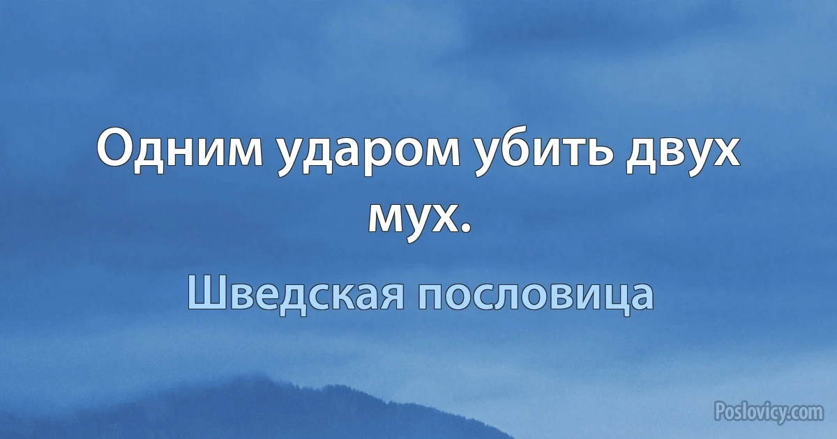 Одним ударом убить двух мух. (Шведская пословица)