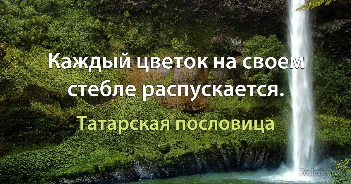 Каждый цветок на своем стебле распускается. (Татарская пословица)