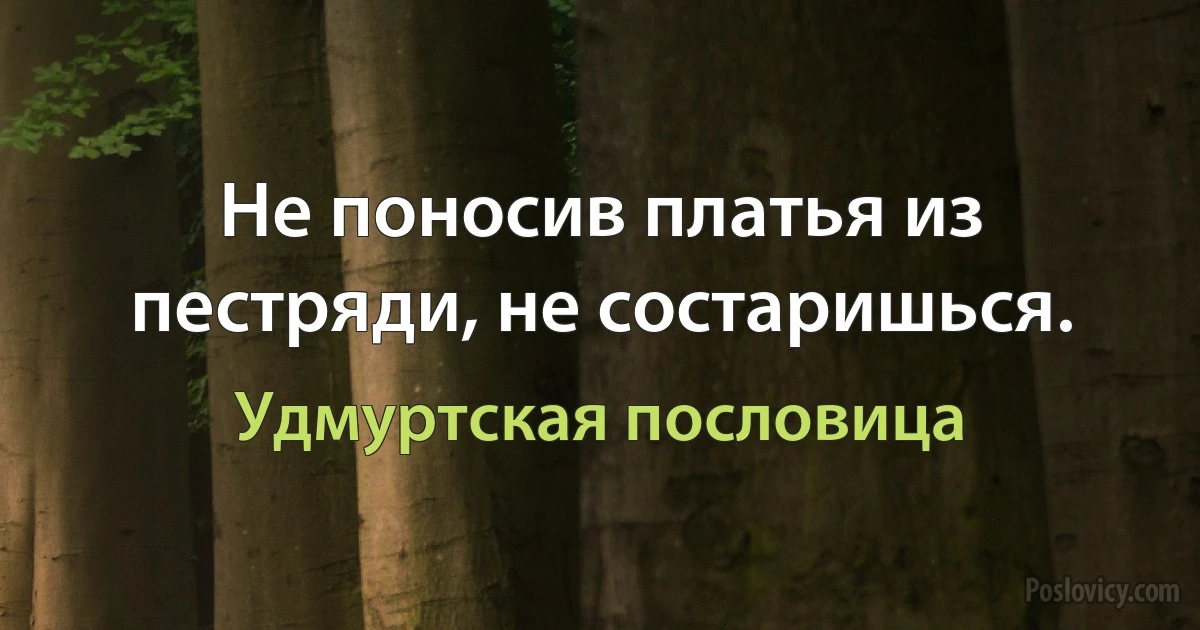 Не поносив платья из пестряди, не состаришься. (Удмуртская пословица)