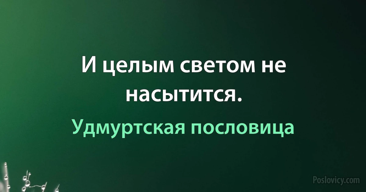 И целым светом не насытится. (Удмуртская пословица)