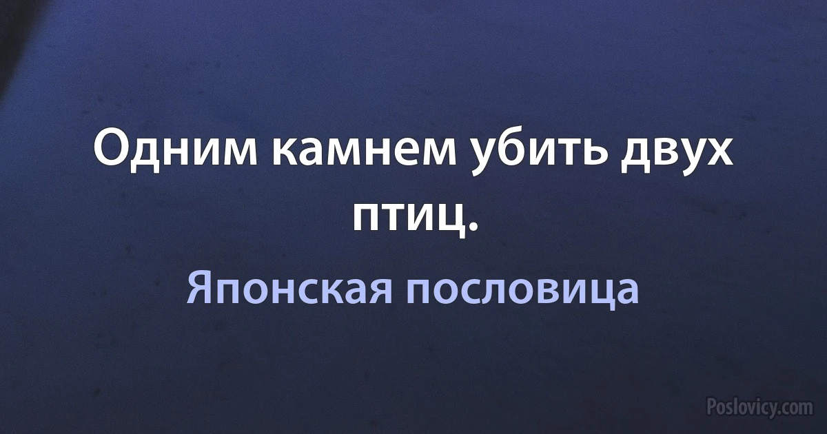 Одним камнем убить двух птиц. (Японская пословица)