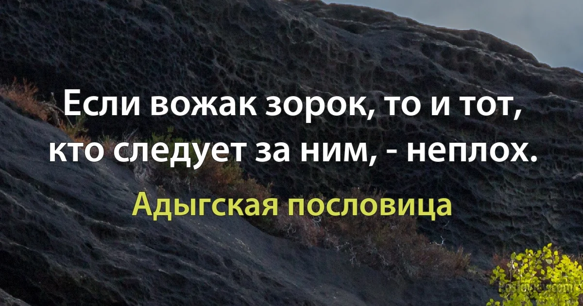 Если вожак зорок, то и тот, кто следует за ним, - неплох. (Адыгская пословица)