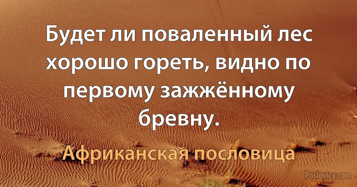 Будет ли поваленный лес хорошо гореть, видно по первому зажжённому бревну. (Африканская пословица)