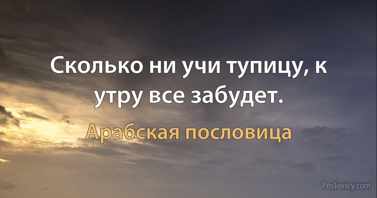 Сколько ни учи тупицу, к утру все забудет. (Арабская пословица)