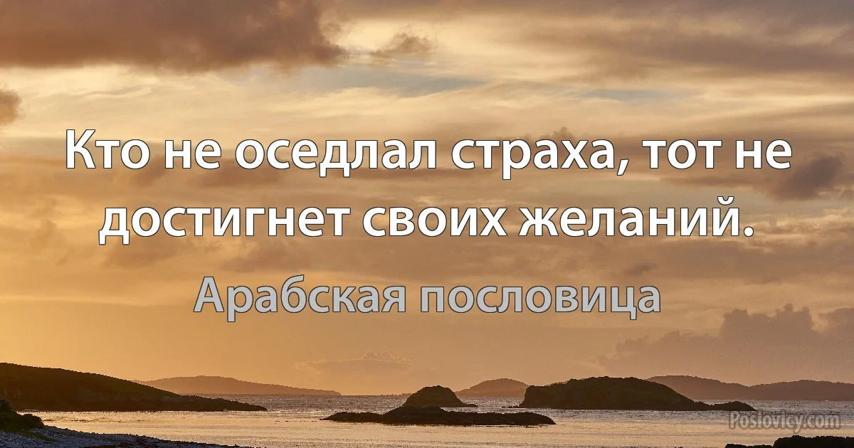 Кто не оседлал страха, тот не достигнет своих желаний. (Арабская пословица)