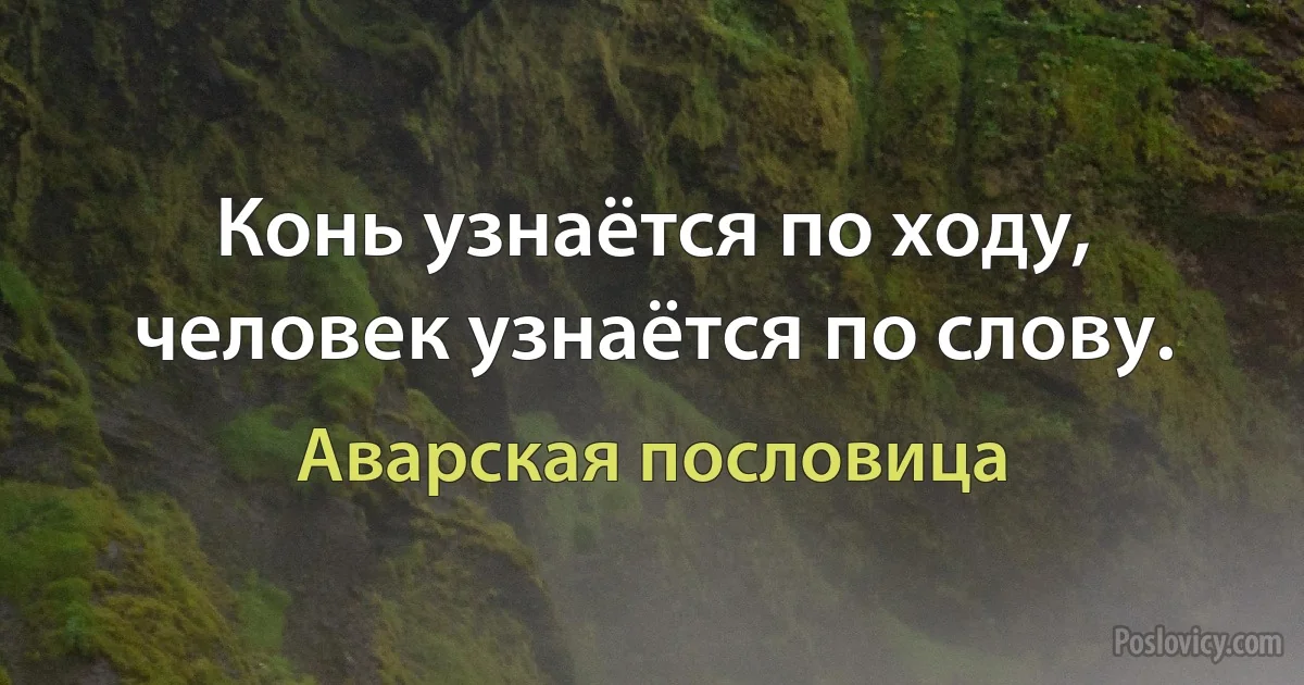 Конь узнаётся по ходу, человек узнаётся по слову. (Аварская пословица)