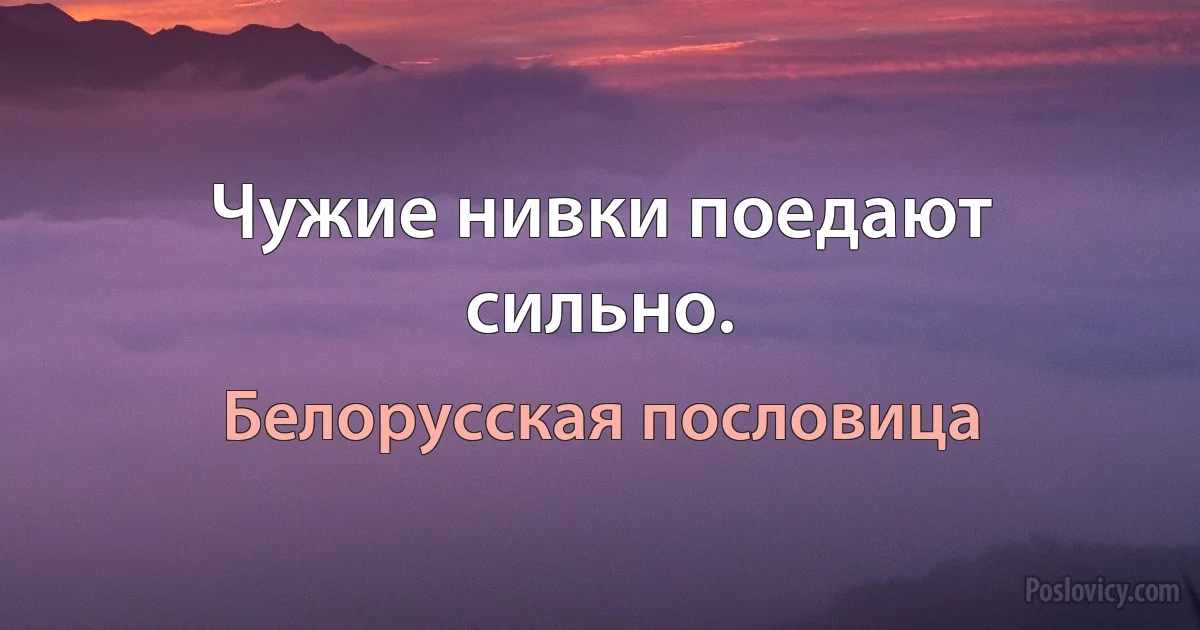 Чужие нивки поедают сильно. (Белорусская пословица)