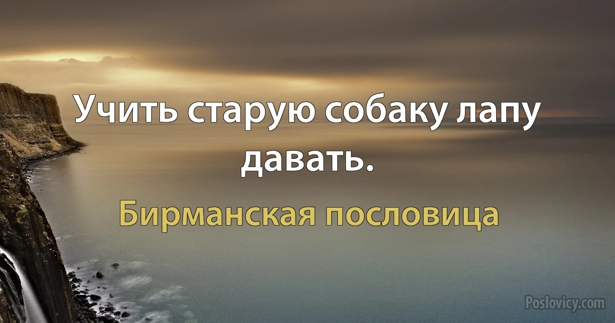 Учить старую собаку лапу давать. (Бирманская пословица)