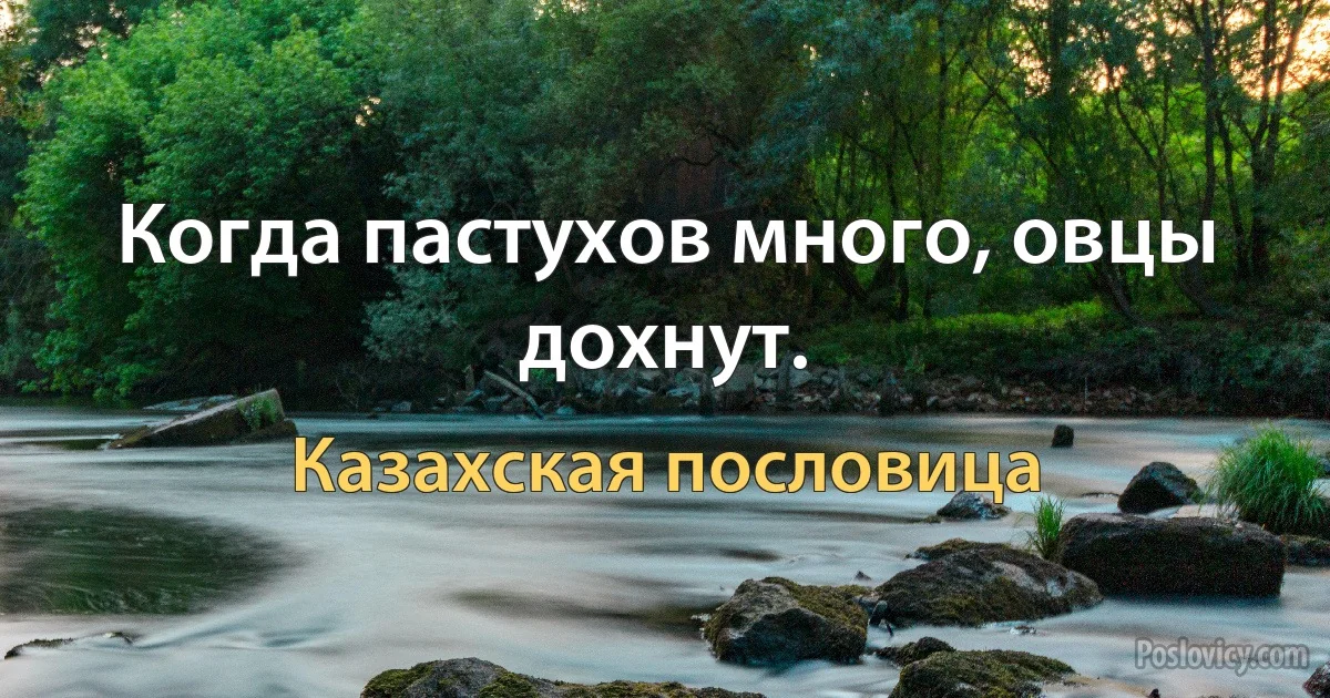 Когда пастухов много, овцы дохнут. (Казахская пословица)