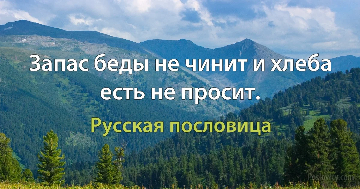 Запас беды не чинит и хлеба есть не просит. (Русская пословица)