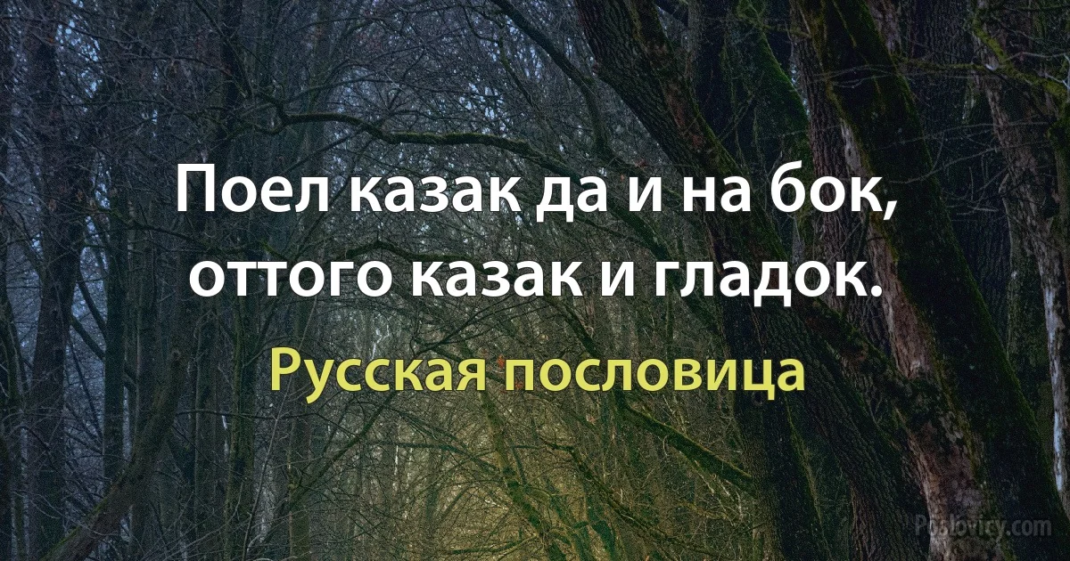 Поел казак да и на бок, оттого казак и гладок. (Русская пословица)