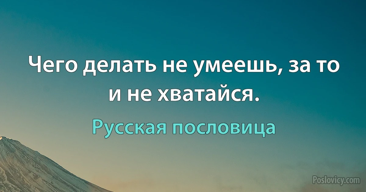 Чего делать не умеешь, за то и не хватайся. (Русская пословица)