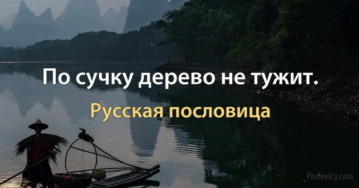 По сучку дерево не тужит. (Русская пословица)