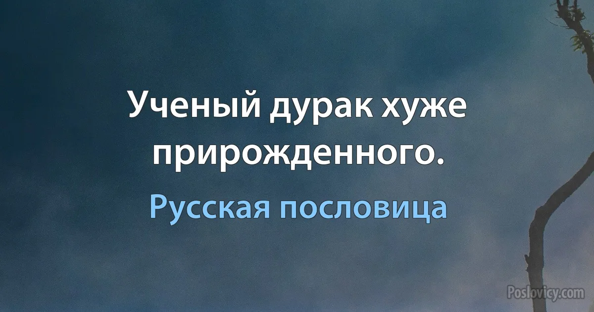 Ученый дурак хуже прирожденного. (Русская пословица)