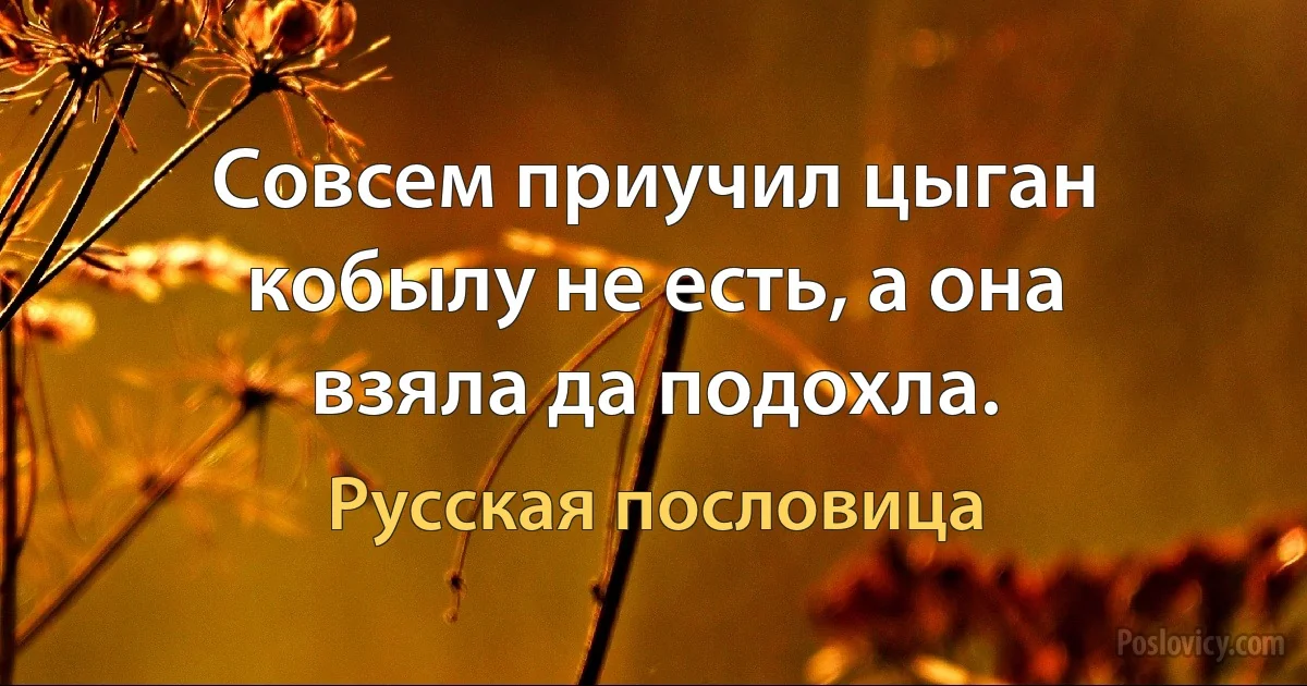 Совсем приучил цыган кобылу не есть, а она взяла да подохла. (Русская пословица)