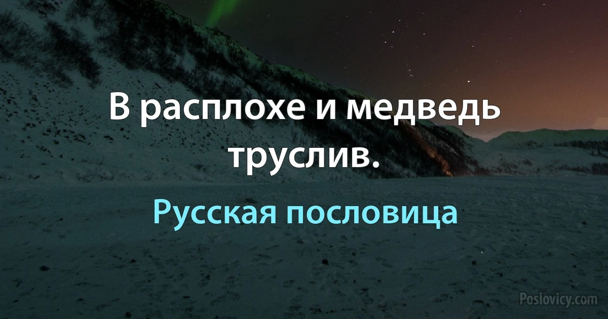 В расплохе и медведь труслив. (Русская пословица)