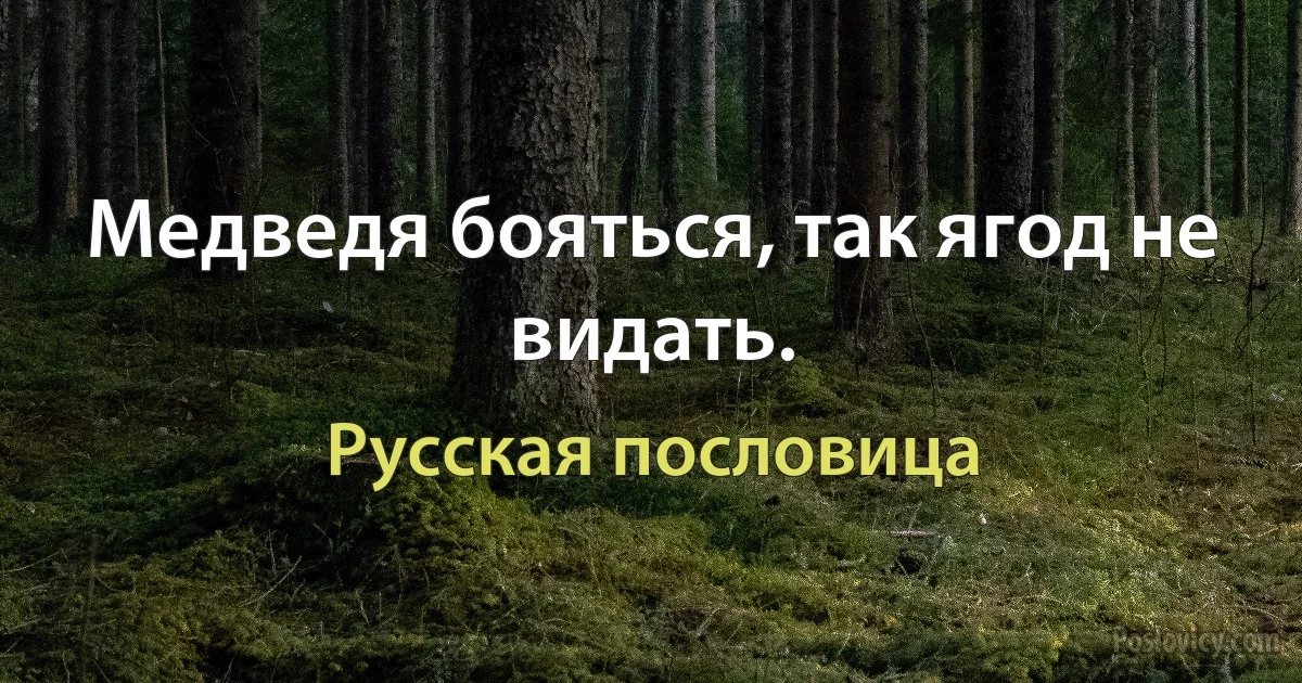 Медведя бояться, так ягод не видать. (Русская пословица)