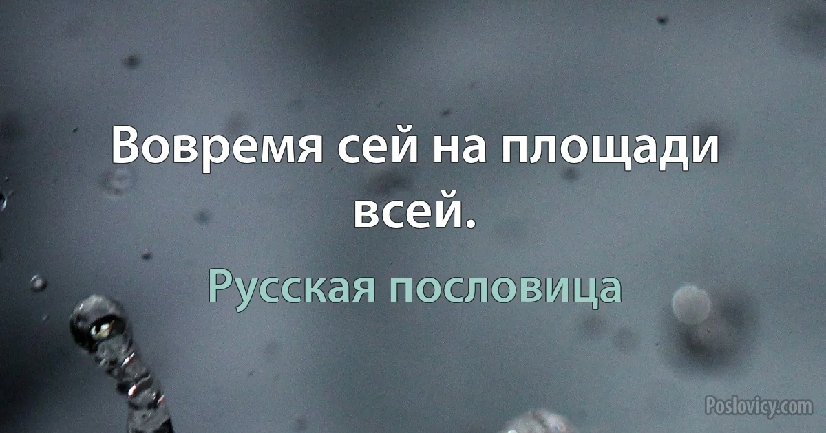 Вовремя сей на площади всей. (Русская пословица)