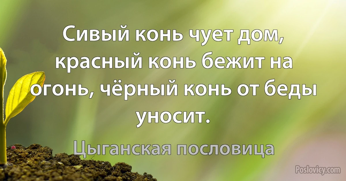 Сивый конь чует дом, красный конь бежит на огонь, чёрный конь от беды уносит. (Цыганская пословица)