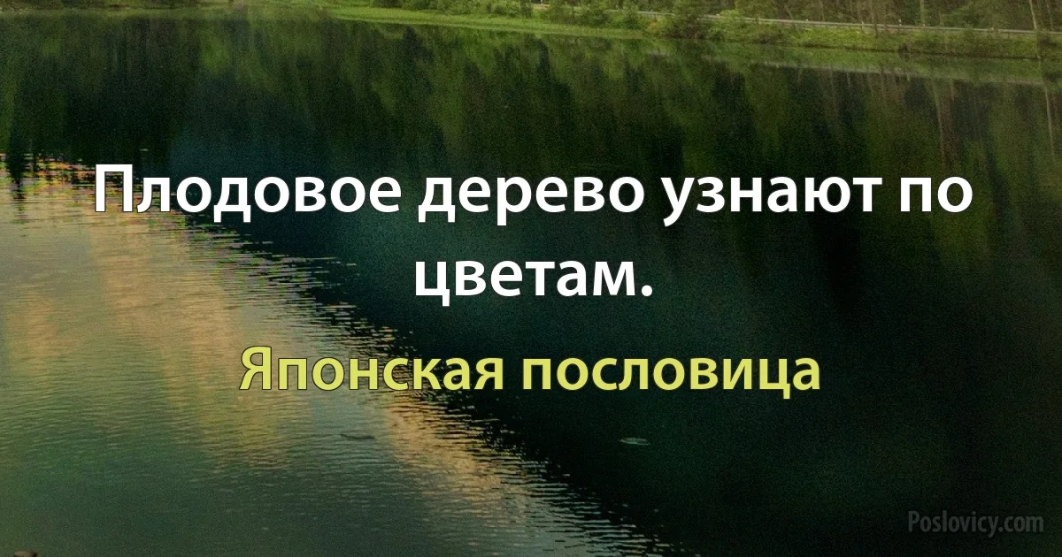 Плодовое дерево узнают по цветам. (Японская пословица)