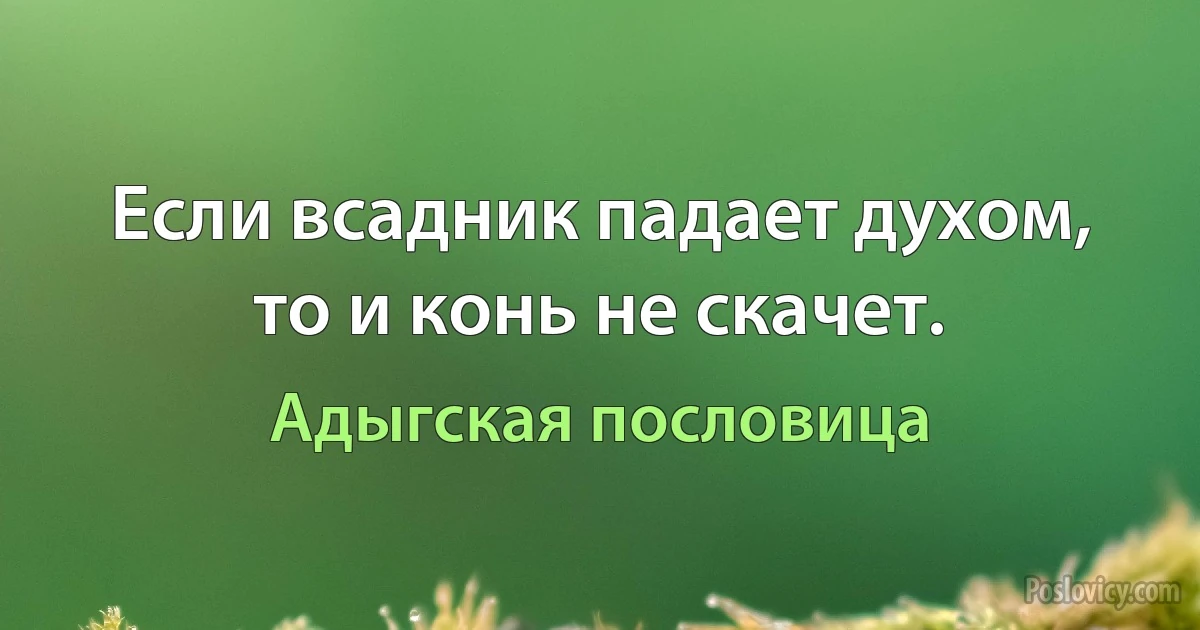 Если всадник падает духом, то и конь не скачет. (Адыгская пословица)